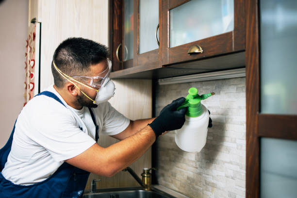 Best Mosquito Control Services  in Worland, WY