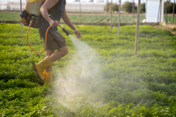 Best Affordable Pest Control Services  in Worland, WY