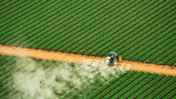 Best Commercial Pest Control Services  in Worland, WY
