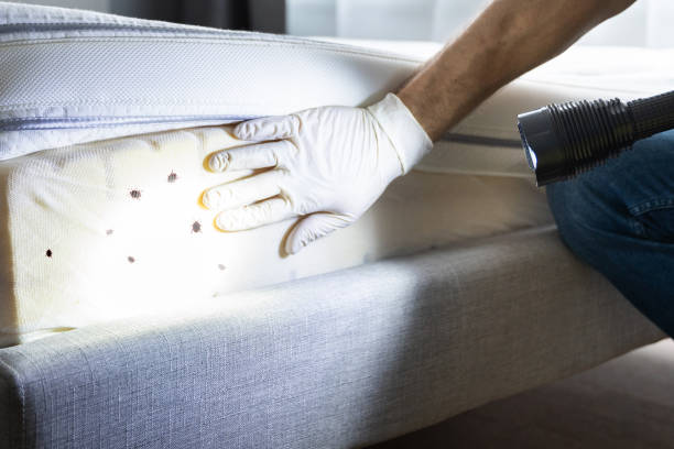 Best Best Pest Control Companies  in Worland, WY