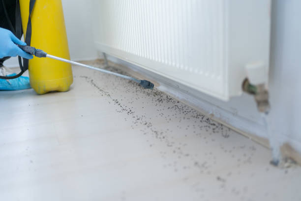 Best Exterminator Services  in Worland, WY
